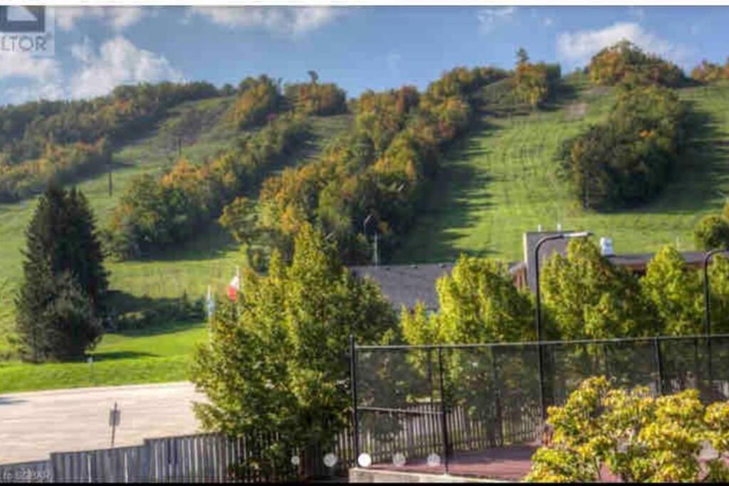 Blue Mountain Studio Oasis Blue Mountains Exterior photo